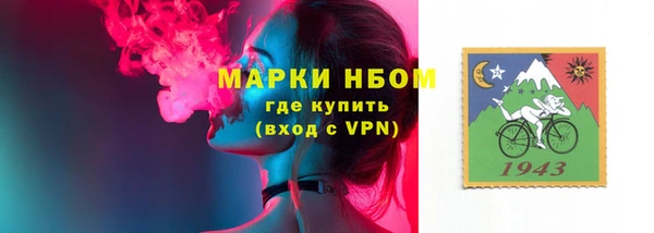 трава Аркадак