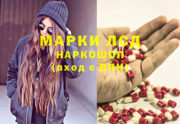 трава Аркадак