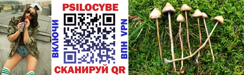 Псилоцибиновые грибы мухоморы Купить закладки Новокубанск